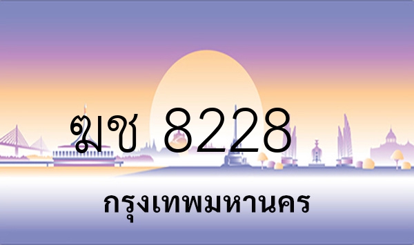 ฆช 8228